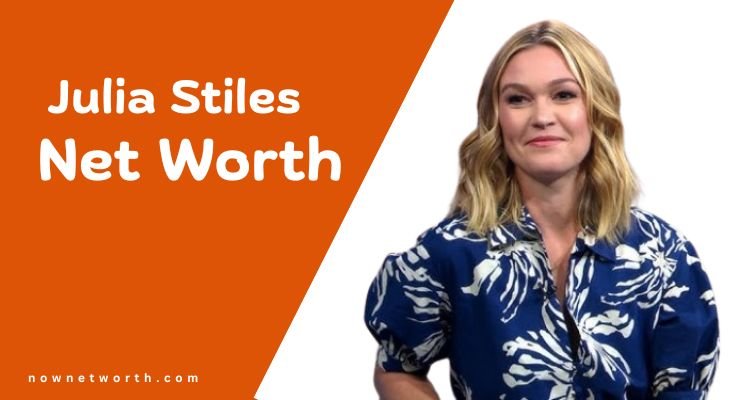 Julia Stiles Net Worth