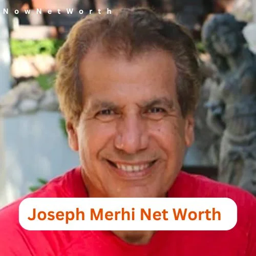 Joseph Merhi Net Worth